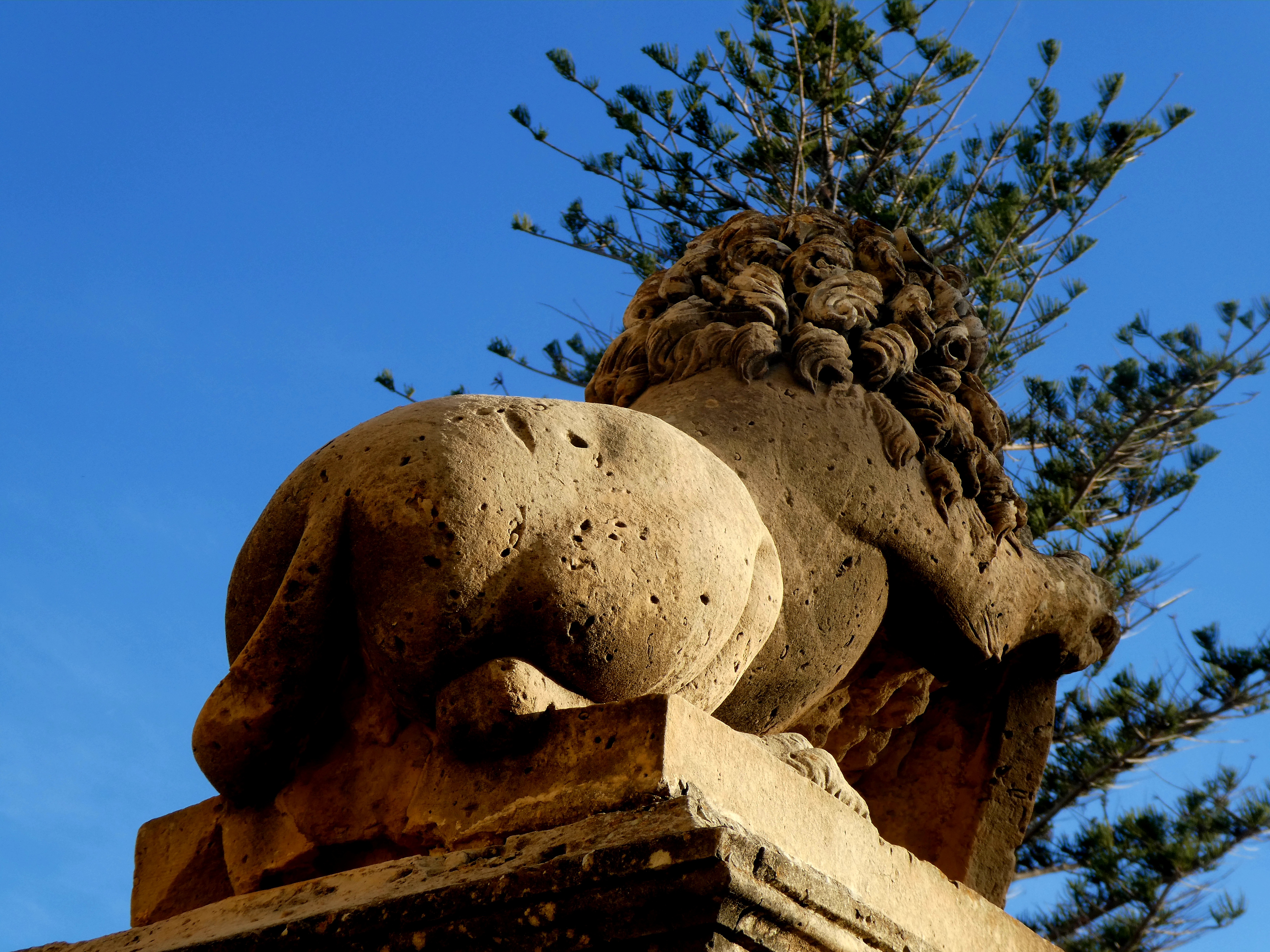 A sculpture of a stone lion from the rear end.